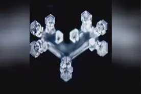 科学家的这个“水试验”竟揭示出了人的生命密码！视频封面