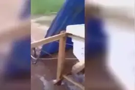 开挂的印度农民自制自行车洗衣机 边锻炼身体边洗衣视频封面