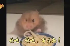 萌翻！小仓鼠狂吸意大利面 双手“守护”怕被抢走