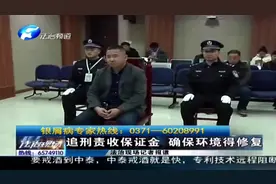 追刑责收保证金 确保环境得修复视频封面