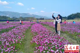 不负春光不负花~佛冈最全赏花攻略出炉，请收好图片