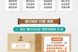 图解:整治"村霸"升级，看这4个典型如何被重拳打掉图片
