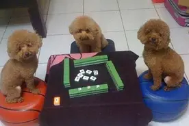 「笑出腹肌」发现外星人图片