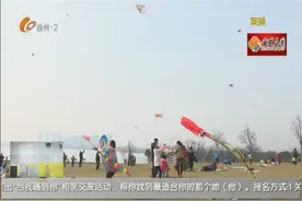 惊蛰到万物长 “筝”奇斗艳享春光 却暗藏危险图片