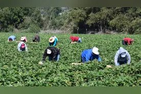 加州农场工人多 德州盛产石油工程师？看看美国各州的专属职业图片