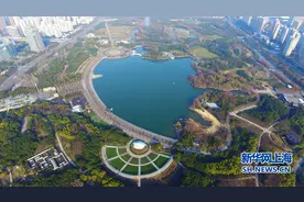 航拍世纪公园：上海市中心的一片绿洲图片
