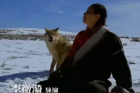 成都姑娘在草原救下一只小狼，养大后把它送回狼群。4年后他们重逢了，狼想要相认却又不敢认……视频封面