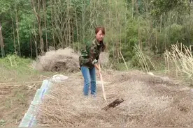 老婆用这个农用工具打菜籽，谁知道这个农用工具的名字？#老婆干农活 #四川四川四川四川 @抖音小助手视频封面