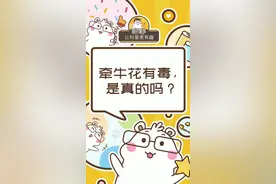 牵牛花有毒，是真的吗？@抖音星探家 @抖音小助手