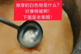 “醋蛾子”到底怎么来的？很多人不知道！现在看过程全解哈！老夏前面发过很多教程@抖音小助手