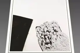 復言当代艺术的人格与风格图片