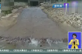排污3.3万吨！浙江省高院公布十大环境资源审判典型案例视频封面
