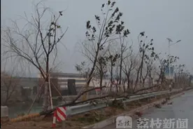 悲剧！狂风来袭三轮车吹翻落水 两名孩童不幸身亡图片