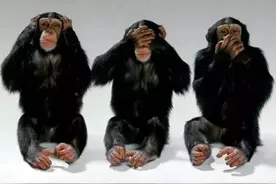 猴塞雷！和“猴”相关的英文短语！图片