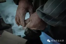 你手掌的温度，将整个寒冬都融化图片