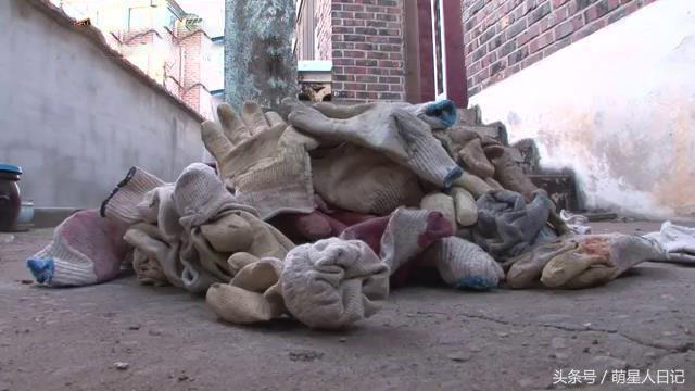 爱心铲屎每天坚持给流浪猫喂食,没想到猫咪竟叼回特殊礼物来报恩