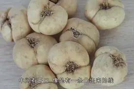 平贝母与川贝母有什么区别？掌握这几点，轻松分清两种川贝视频封面