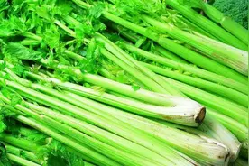 芹菜，到底是“杀精利器”还是“保健福星”？专家用数据告诉你视频封面
