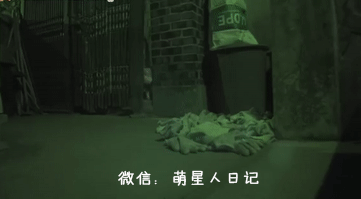 爱心铲屎每天坚持给流浪猫喂食,没想到猫咪竟叼回特殊礼物来报恩