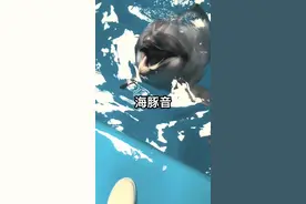 一个特殊的家庭跟我谈起自闭症，这个作品是答应孩子妈妈拍的，同时海豚真的可以治疗自闭症吗？#关爱自闭儿童视频封面