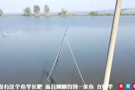 开眼；农村百亩池塘垂钓 收费150元 他们竟用32米鱼竿钓这些鱼