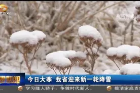 今日大寒 甘肃省迎来新一轮降雪视频封面