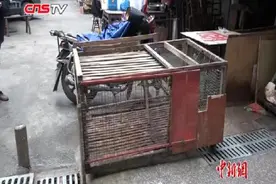 重庆测出H7N9禽流感病毒阳性农贸市场活禽店铺均停业图片