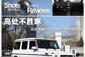 高处不胜寒 实拍奔驰G63 AMG 463特别版图片
