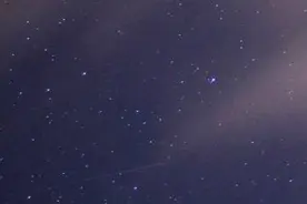 特别策划｜微信版蝴蝶展，打开会有蝴蝶飞出！图片