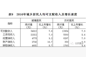 最新！2017年山东省人身损害赔偿标准图片