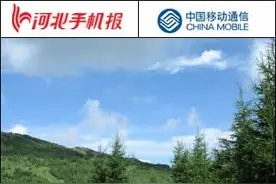 河北手机报精华版图片