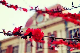 三生三世，终离不开天外几里图片