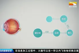 女子汗蒸后遛弯竟诱发青光眼，专家提醒：寒冷天气要加强眼睛防护视频封面