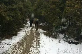 山西小伙独自徒步丽江玉龙雪山被困 18小时后获救图片
