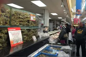 美国华人带活海鲜回中国 航空公司拒绝托运图片