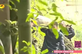 崔晋终于见到爸爸妈妈，一家三口相聚敞开心扉，真开心！视频封面