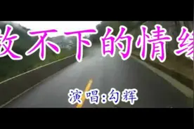 一首《放不下的情缘》好听醉了图片