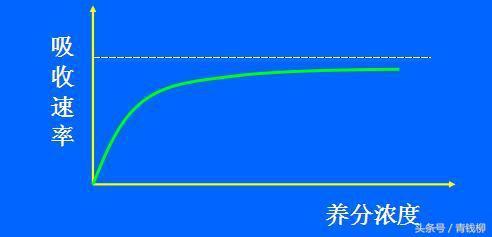 植物营养与施肥原则