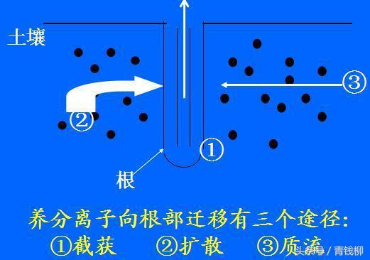 植物营养与施肥原则