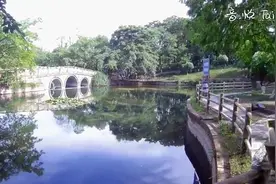 塔子山公园-011《玻璃杯》音乐短片