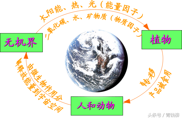 植物营养与施肥原则