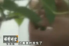 女子回郊区房子，刚进入房间的一瞬间屋里的场景令她大吃了一惊