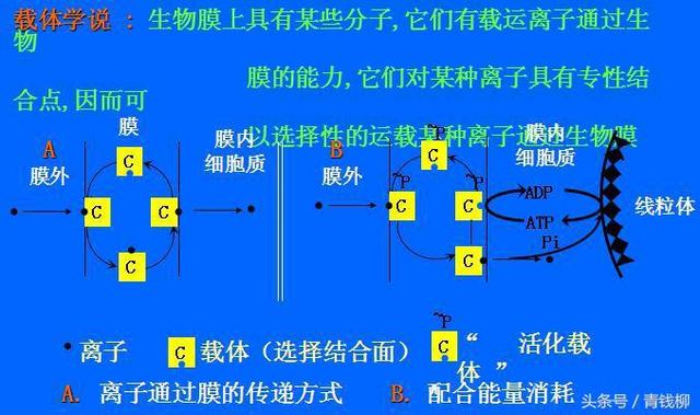 植物营养与施肥原则