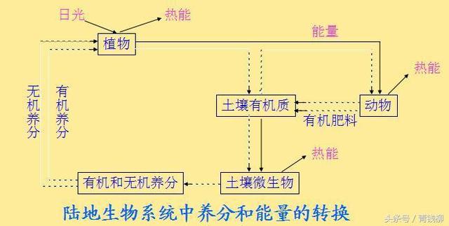 植物营养与施肥原则