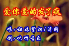 情歌对唱《爱你爱的发了疯》好听极了