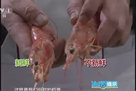 如何挑选冷冻鱼虾？视频封面