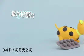 狗狗感冒不要慌，家里常备药品照样能治好