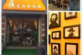 带狗过大年|春节不打烊的可带狗餐厅（北京篇）图片