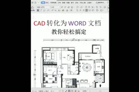 好教程，再发一遍！CAD转化为word文档,你学会了吗#cad教程 @抖音小助手