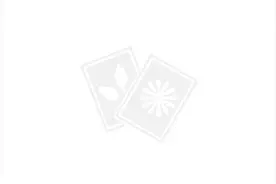 松下发布GX8与FZ300：6轴防抖与24x变焦！图片